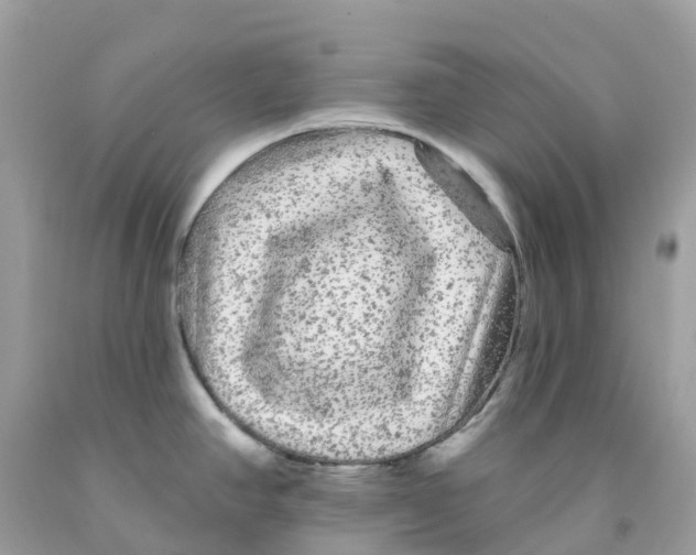 X0000091091390200709041253