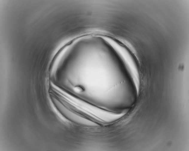 X0000091091391200709041253