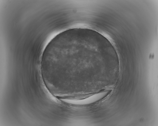 X0000091091392200709041253