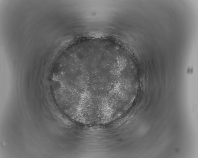 X0000091091393200709041252