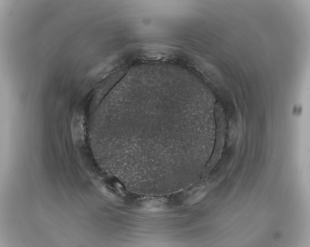 X0000091091394200709041252