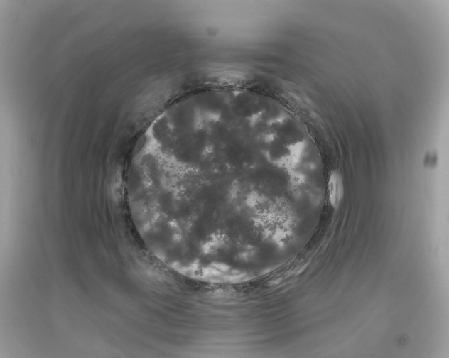 X0000091091395200709041252