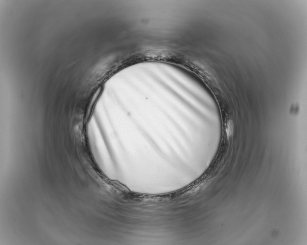 X0000091091396200709041252