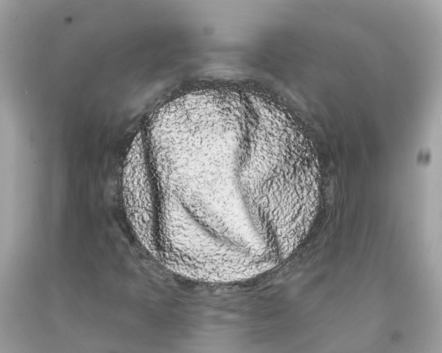 X0000091091397200709041252