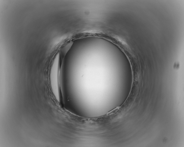 X0000091091398200709041252