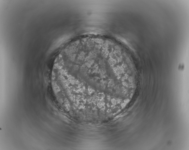 X0000091091399200709041252