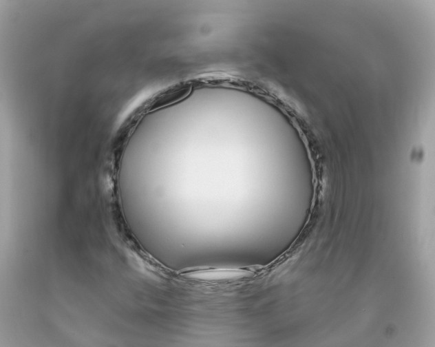 X0000091091400200709041252