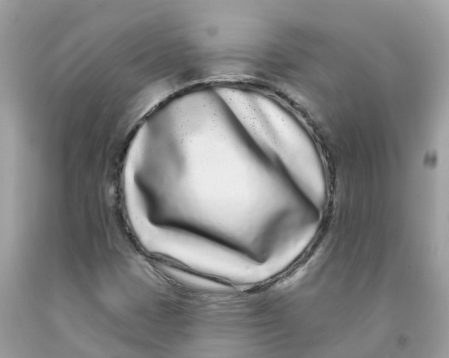 X0000091091401200709041252