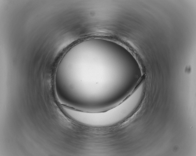 X0000091091402200709041252