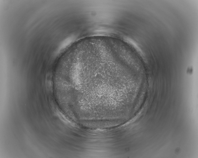 X0000091091403200709041252