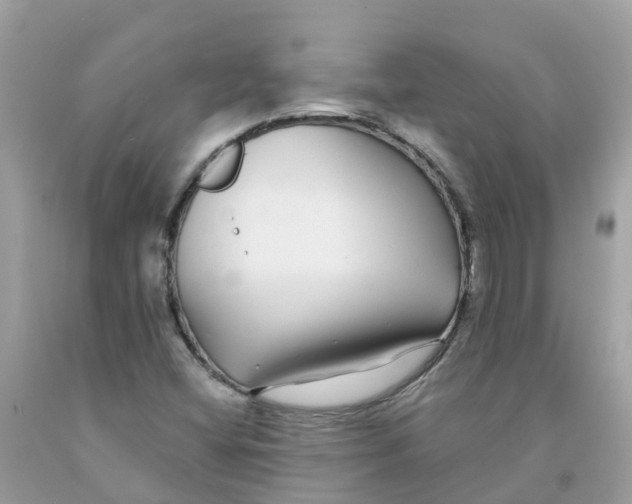 X0000091091404200709041252