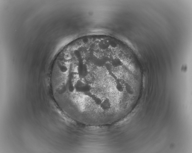 X0000091091405200709041252