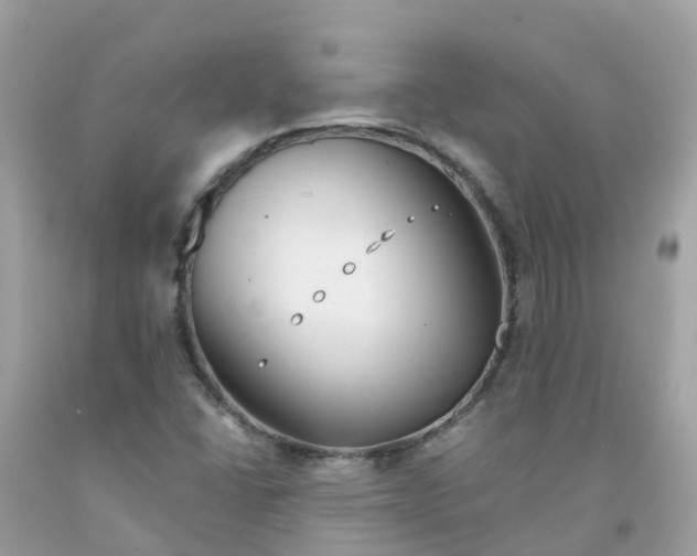 X0000091091406200709041252