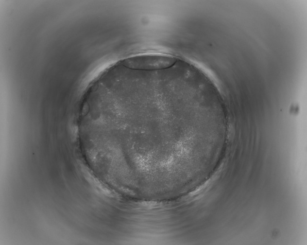 X0000091091407200709041252