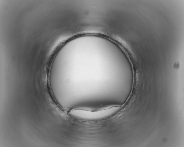 X0000091091408200709041252