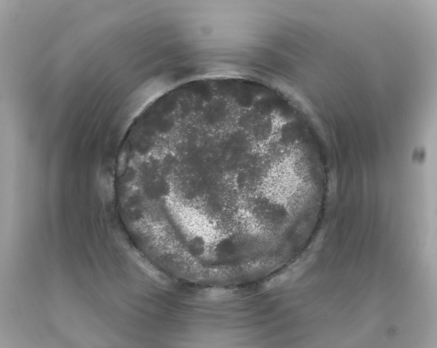 X0000091091409200709041252