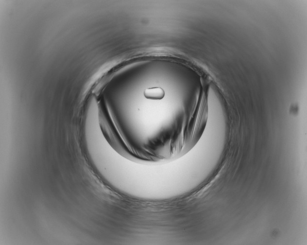 X0000091091410200709041252