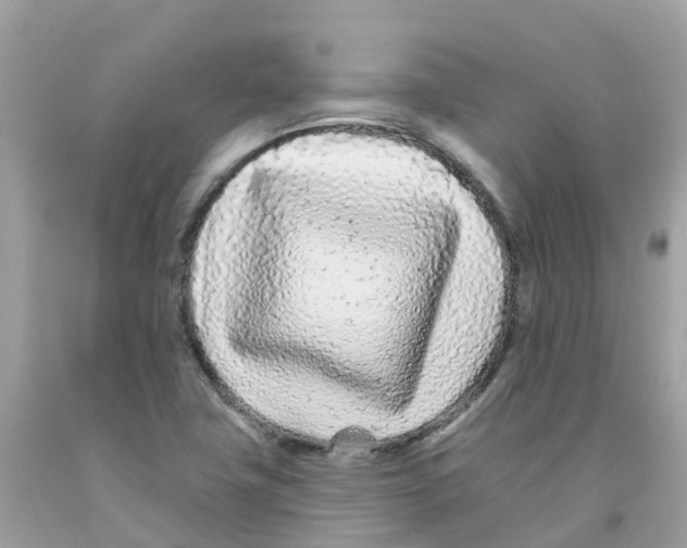 X0000091091411200709041252