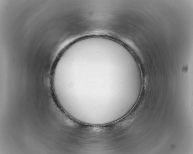 X0000091091412200709041252