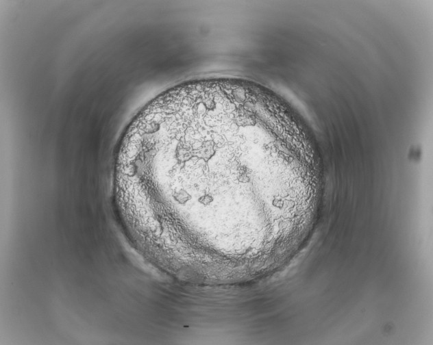 X0000091091413200709041252