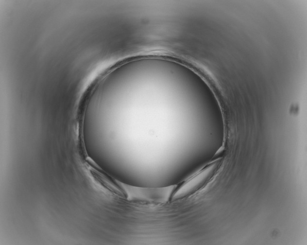 X0000091091414200709041252