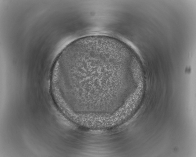 X0000091091415200709041253