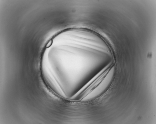 X0000091091416200709041253