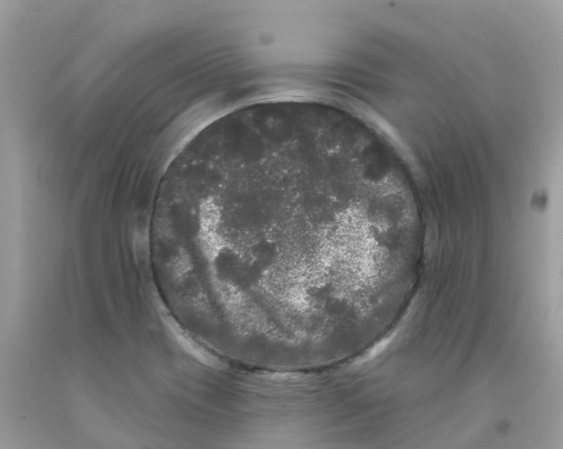 X0000091091417200709041253