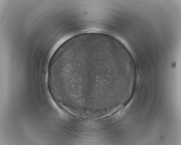 X0000091091418200709041253