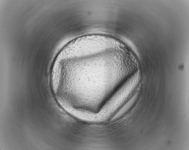 X0000091091419200709041253