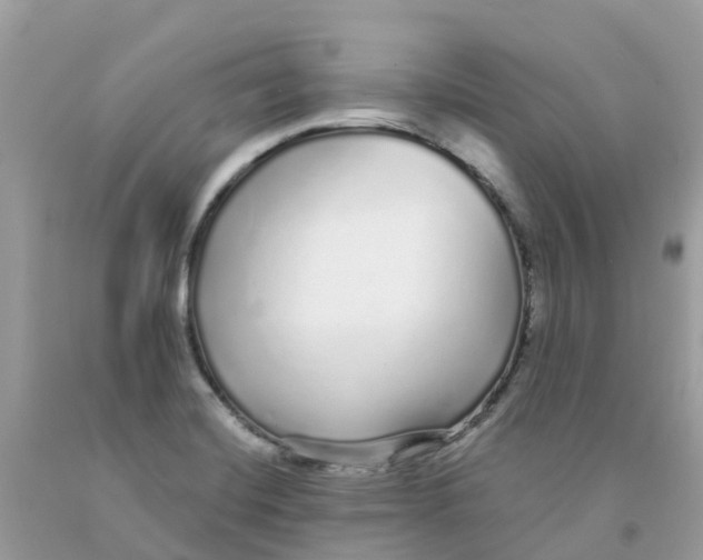 X0000091091420200709041253