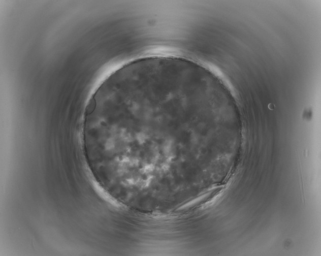 X0000091091421200709041253