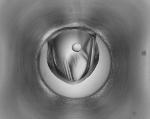 X0000091091422200709041253