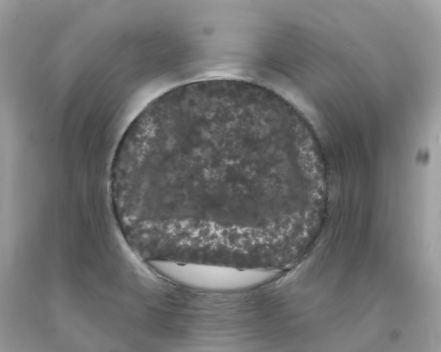 X0000091091423200709041253