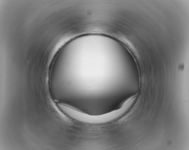 X0000091091424200709041253