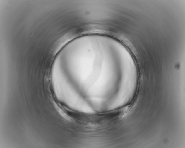 X0000091091425200709041253