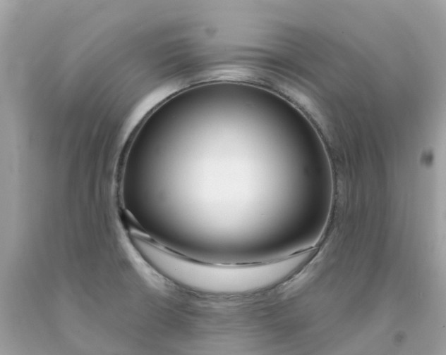 X0000091091426200709041253