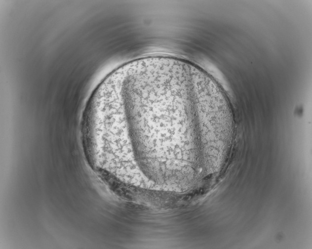 X0000091091427200709041253