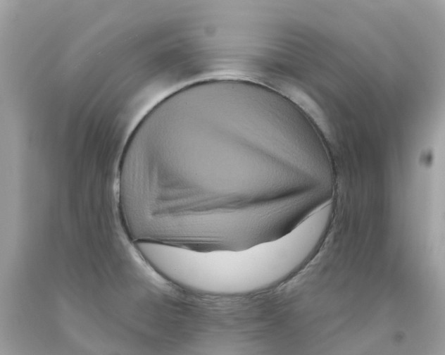 X0000091091428200709041253