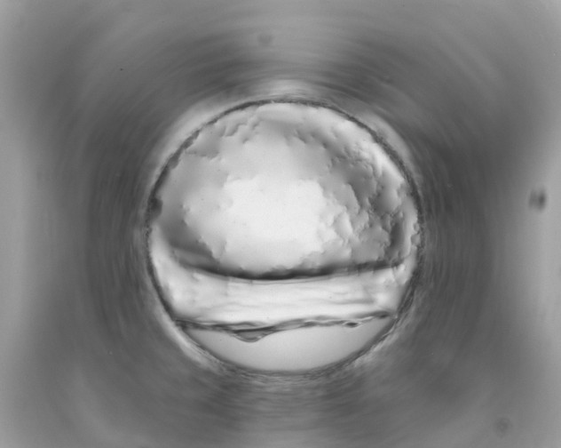 X0000091091429200709041253