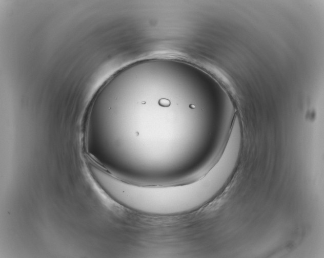 X0000091091430200709041253