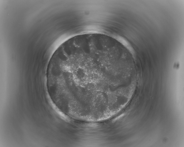 X0000091091431200709041253