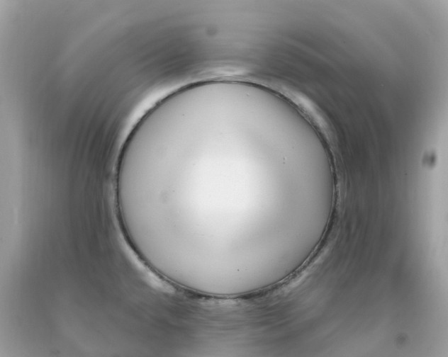 X0000091091432200709041253