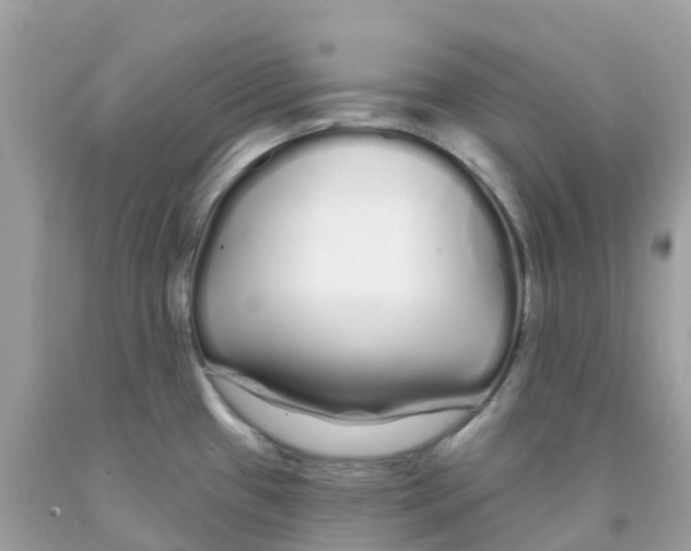 X0000091091433200709041253