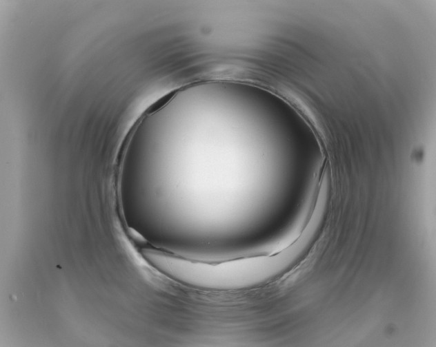 X0000091091434200709041253