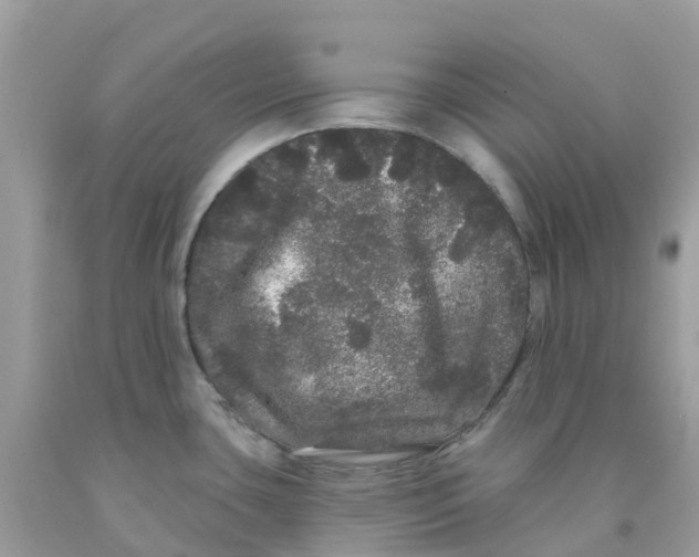 X0000091091435200709041253