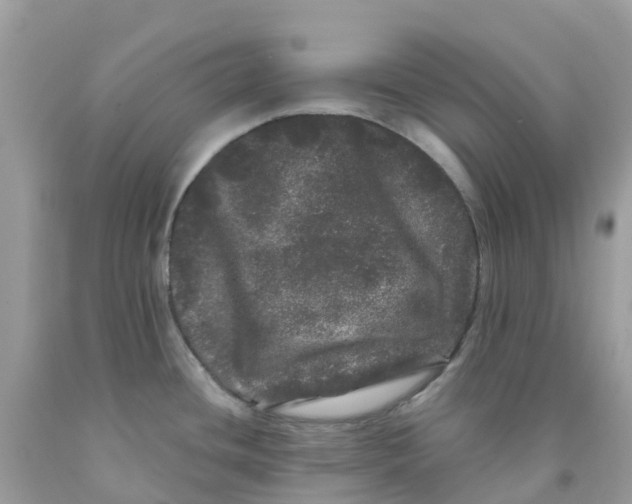 X0000091091436200709041253