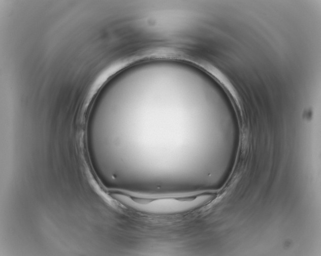 X0000091091437200709041253