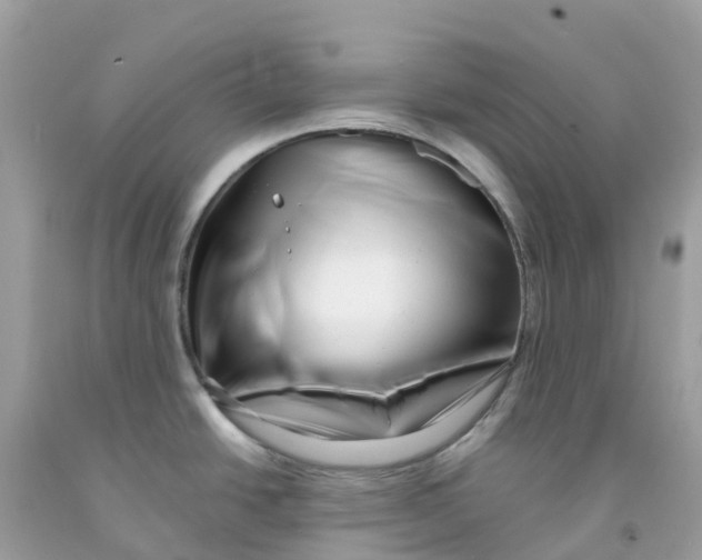 X0000091091438200709041253