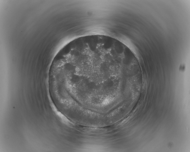 X0000091091439200709041253